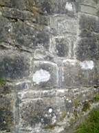 shannonbridge cap-1969.jpg